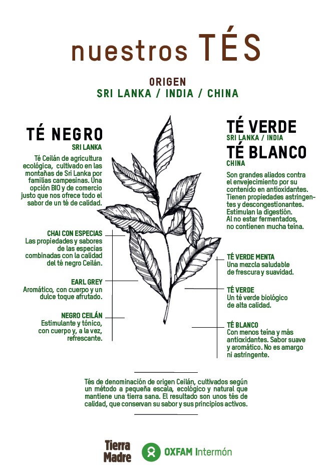 Origen del Té Tierra Madre I Oxfam Intermón